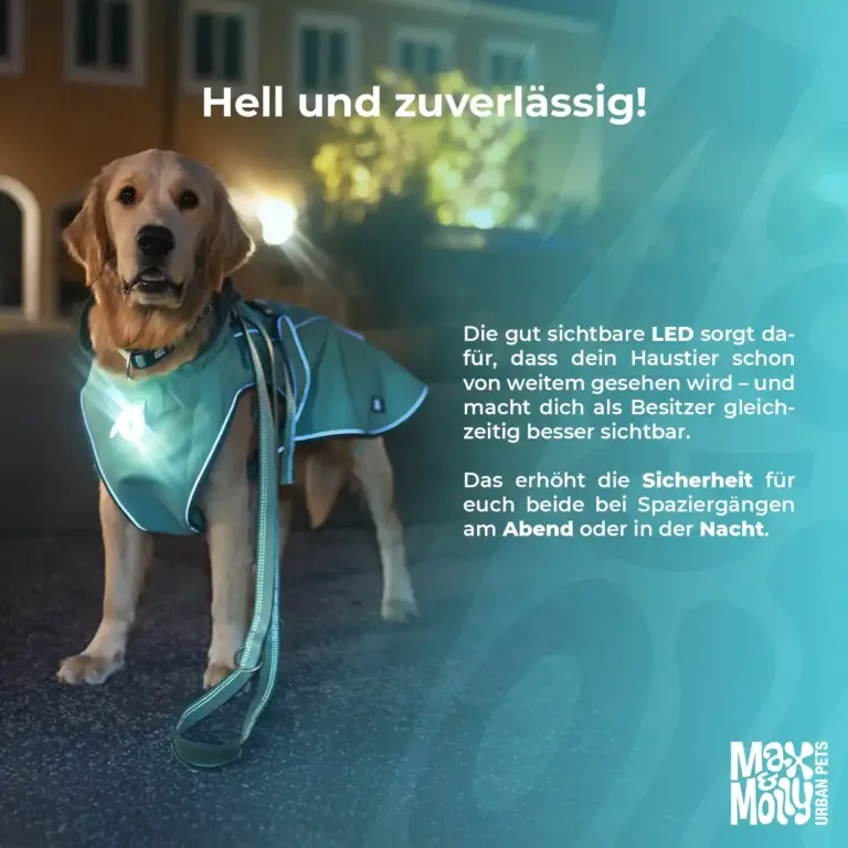 amazon-agentur-amazon-content-10